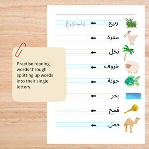 Arabic Script Workbook